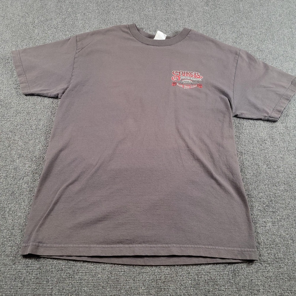 Sturgis Black Hills Rally T-Shirt Mens Large Gray 2007 South Dakota AAA Graphic